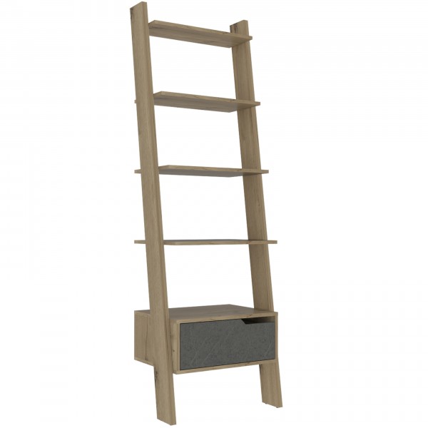 Manhattan Ladder Bookcase